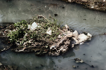 This is the sewer channel of almost dead, clusters of dead organic matter. Muddy water due to the...