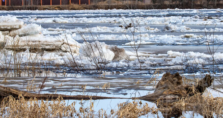 A landscape of an ice drift (ice-boom, debacle) on the northern river, flood plain forest. Rivers of the Lake Ladoga basin, Northeast Europe