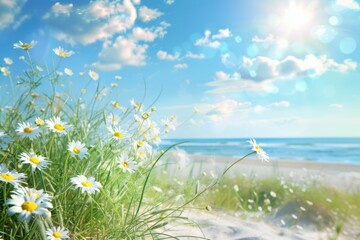 Daisies blossoming among coastal grasses on a sandy beach, with the sun shining brightly overhead and the calm ocean stretching toward the horizon. Summer background - 811149909