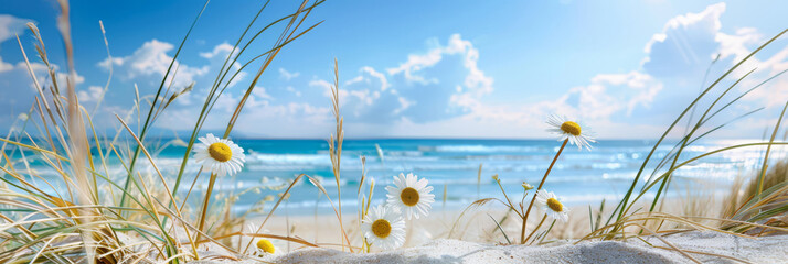 Daisies blossoming among coastal grasses on a sandy beach, with the sun shining brightly overhead and the calm ocean stretching toward the horizon. Summer background - 811149941
