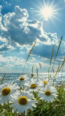 Daisies blossoming among coastal grasses on a sandy beach, with the sun shining brightly overhead and the calm ocean stretching toward the horizon. Summer background - 811149961