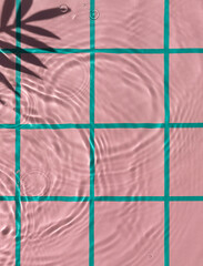 Water texture on pink checkered pattern background on the noon sunlight with tropical leaves shadow. Copy space