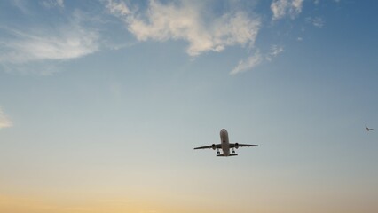 Airplane in the sky at sunset. Air transportation.  Travel. Airplane Takes Off Against the Background of Blue Sky. 