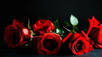 Red roses on a black background, studio light 16:9 with copyspace
