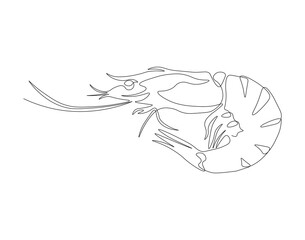 Continuous one line drawing of shrimp. One line drawing illustration of shrimp. Marine animal concept continuous line art. Editable outline.