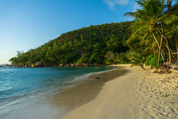 Seychelles beach 
