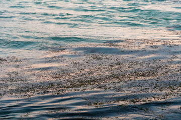 Seychelles beach water abstract