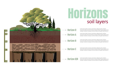 Diagram of horizons and soil layers. The diagram is divided into five sections, each with a different color. The top section is green, and the rest in shades of brown, all on a white background.
