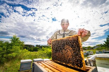 A man is standing in front of a beehive, holding a piece of honeycomb. Concept of curiosity and...