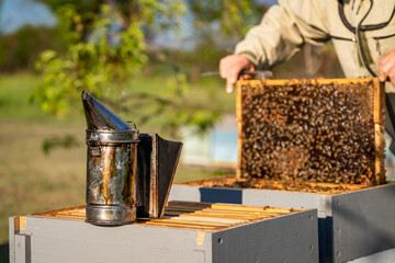 A man is working on a beehive with a smoker. The smoker is next to the hive