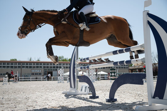 Un caballo y su jinete sortean un obstaculo en una competicion hipica de salto.