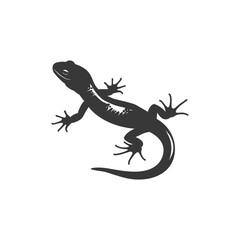 Fototapeta premium Silhouette salamander animal black color only