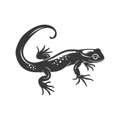 Naklejka premium Silhouette salamander animal black color only
