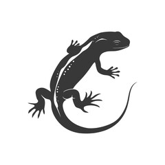 Naklejka premium Silhouette salamander animal black color only