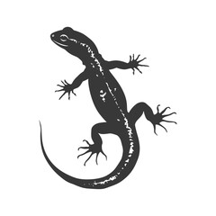 Silhouette salamander animal black color only