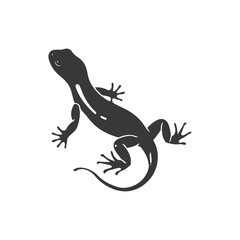 Fototapeta premium Silhouette salamander animal black color only