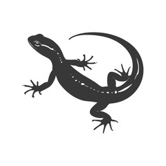 Silhouette salamander animal black color only