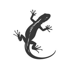 Naklejka premium Silhouette salamander animal black color only