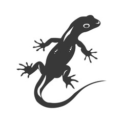 Naklejka premium Silhouette salamander animal black color only