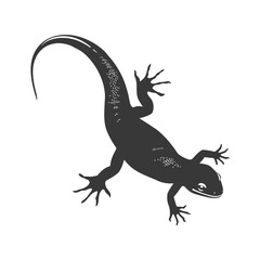 Naklejka premium Silhouette salamander animal black color only