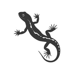 Naklejka premium Silhouette salamander animal black color only
