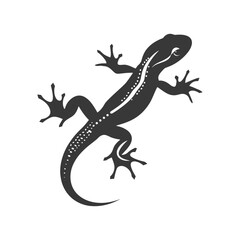 Naklejka premium Silhouette salamander animal black color only