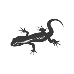 Naklejka premium Silhouette salamander animal black color only