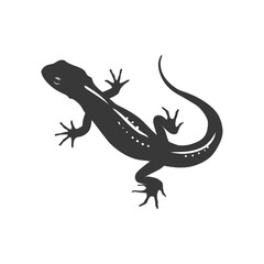 Naklejka premium Silhouette salamander animal black color only