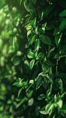 Verdant Impressions: Dark Green Abstract Oil Painting Background