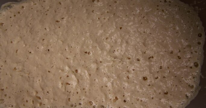 a barrel of fermenting sourdough for baking bread in an artisan bakery.
