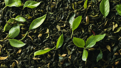 Tea leaves background 16:9 with copyspace