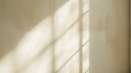 minimalistic scene showing soft shadows on a lightly textured wall illuminated by gentle sunlight.