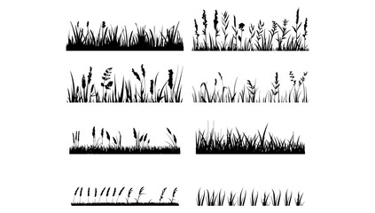 Vector set of black grass silhouettes on white background. Nature illustration summer design and garden horizontal botany. Meadow flower cut out and organic landscape sketch. Drawing border element