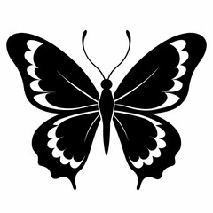 butterfly vector