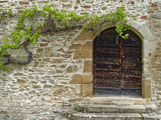 Old stone wall with an old wooden door and a vine climbing on it, two short and wide stone stairs leading to the door