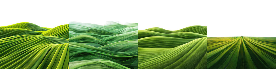 smooth green stripes on isolated on transparent background png