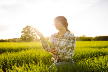 Farmer woman works in field, inspects harvest, young shoots of wheat in natural farming. Growing crops, green shoots.