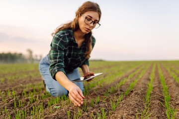 Smart farmer woman agronomist checks young sprout the field with tablet. Intelligent agriculture...