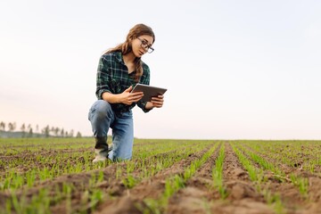 Smart farmer woman agronomist checks young sprout the field with tablet. Intelligent agriculture and digital agriculture.