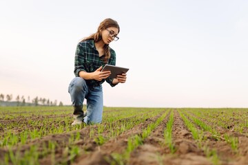 Smart farmer woman agronomist checks young sprout the field with tablet. Intelligent agriculture...