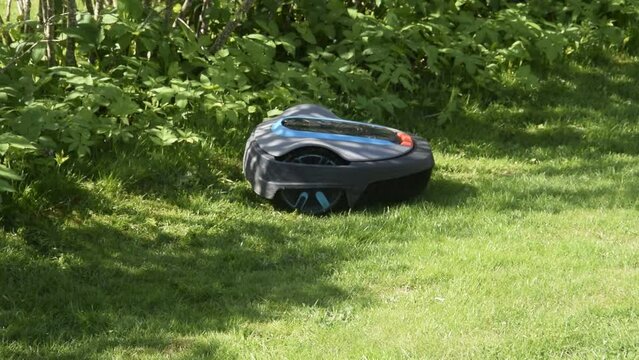 The lawnmower robot mows the grass in the garden