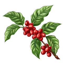 Coffee beans are the seeds of a fruit called a coffee cherry. They are roasted and ground to make...