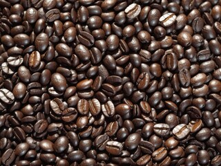 Coffee bean's texture background