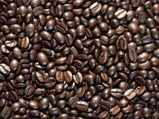Fototapeta premium Coffee bean's texture background