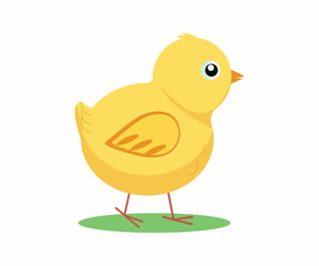 Chicken, bird. Cute yellow chicken. Newborn little chick. Vector flat illustration. Background isolated.	