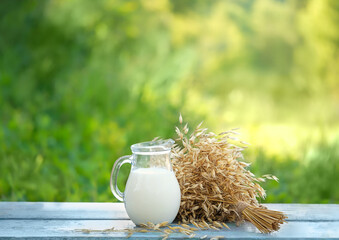 milk in glass jug and ripe oats ears on table in garden. Vegan oat milk, non dairy alternative milk. concept of Milk substitute, healthy vegetarian diet.