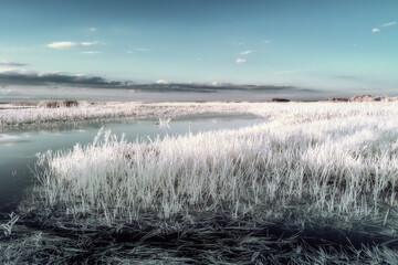 Enchanted landscape in infrared. Podlasie, Poland.