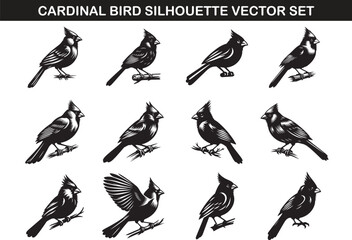 Cardinal Bird Silhouette Vector Illustration set