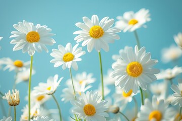 Daisies in the field with blue sky background. Generative AI.