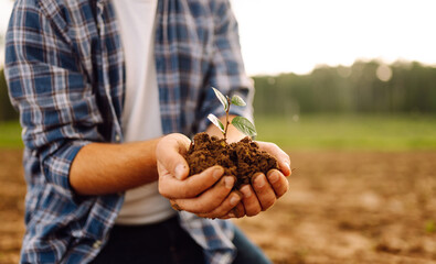Handful of soil with small green plant, closeup. Farmer checking soil health. New life of young ...